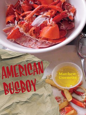 cover image of American Busboy